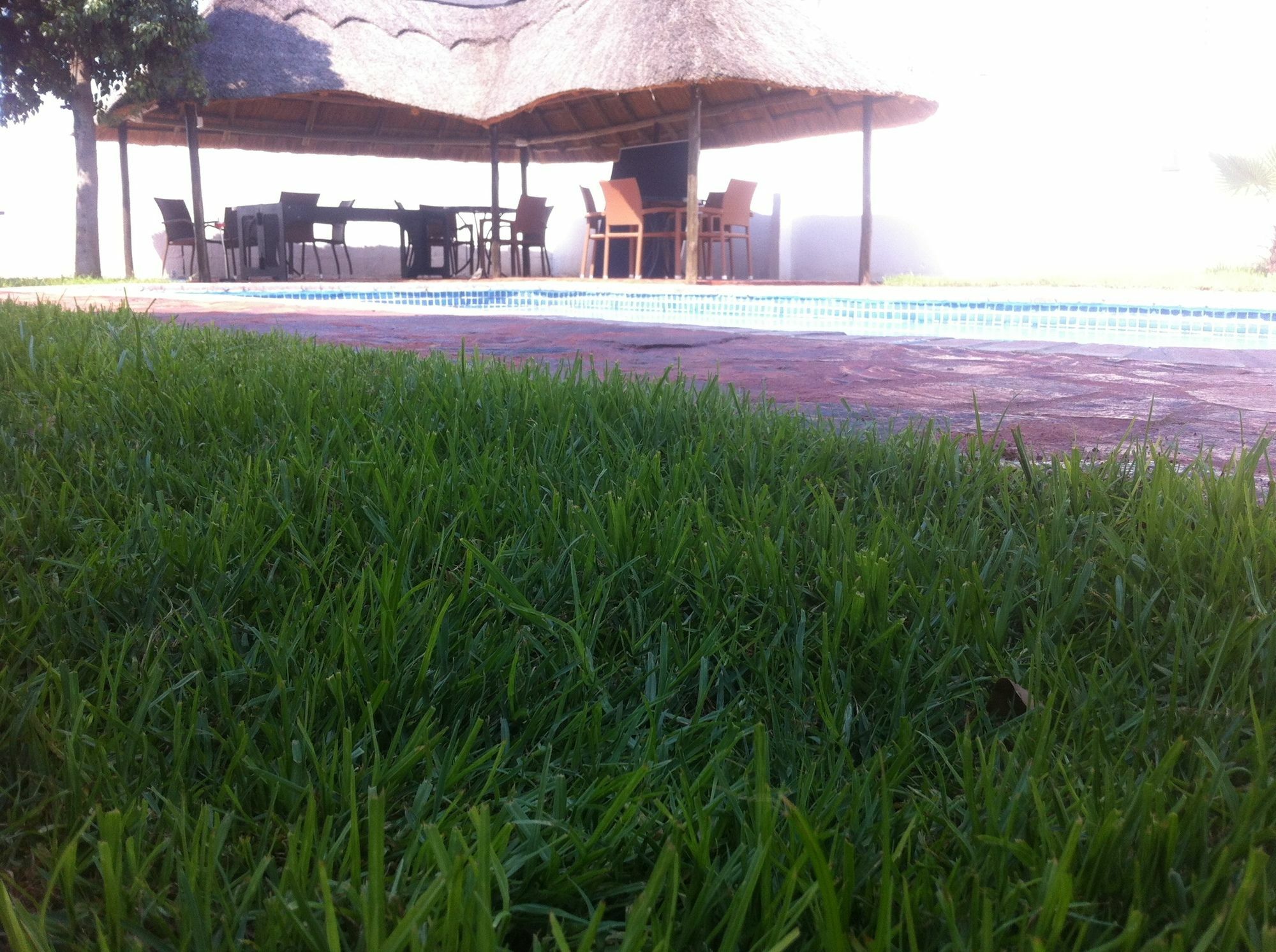 Cosy Palms Panzió Gaborone Kültér fotó